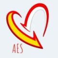 aes-edi